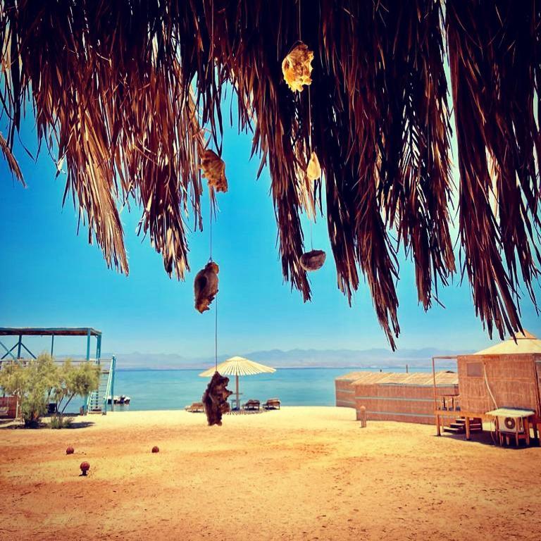 Half Moon Camp Hotel Taba Bagian luar foto